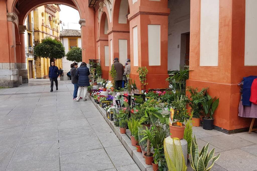 Apartamento San Pedro-Corredera Córdoba Buitenkant foto